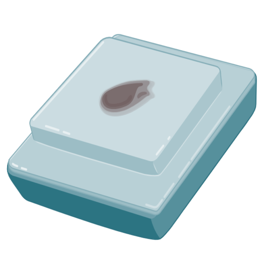 Tissue FFPE Sample